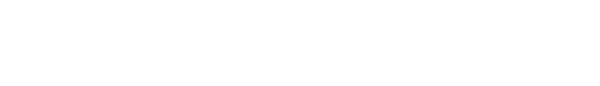 Zane + Noora logo